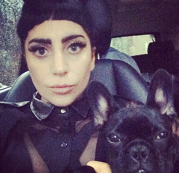 Леди Гага будет выпускать одежду для собак